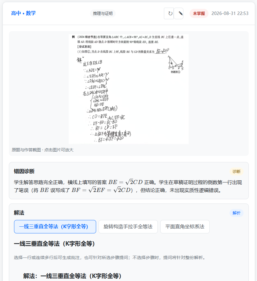 AI 诊断报告